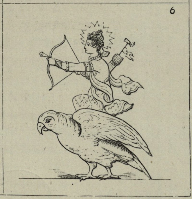 Kamadeva riding on his parakeet